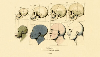 Phrenology, 1833-39 (coloured engraving)