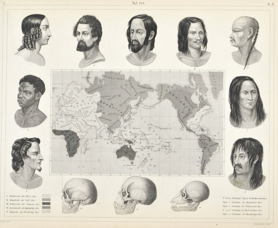 classifications sociales